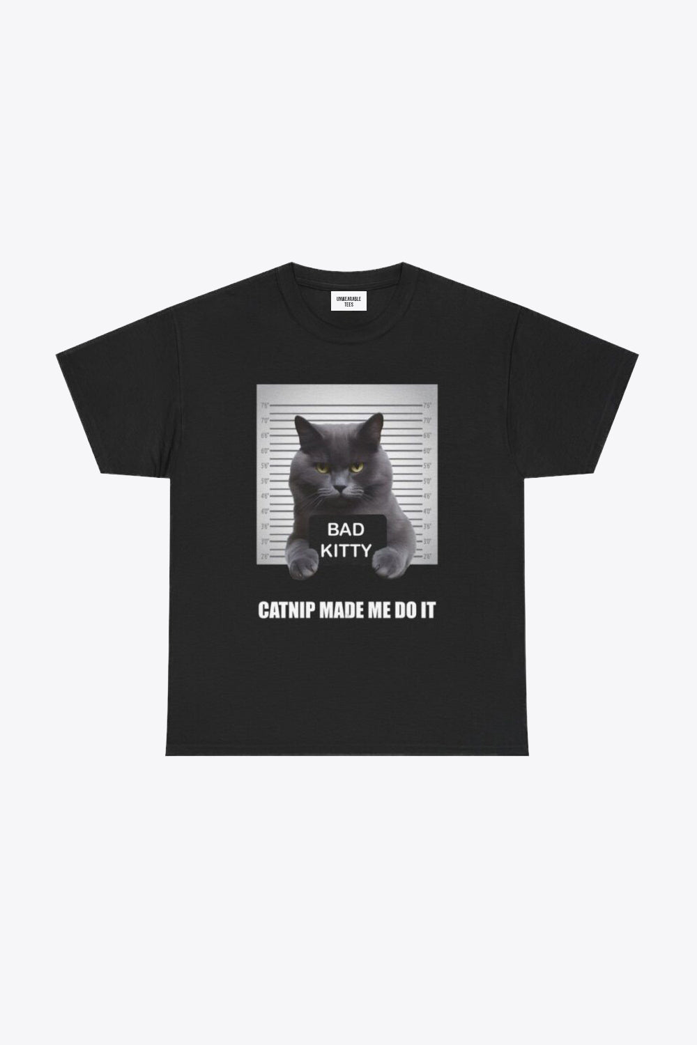 Catnip Made Me Do It Oversize T-Shirt